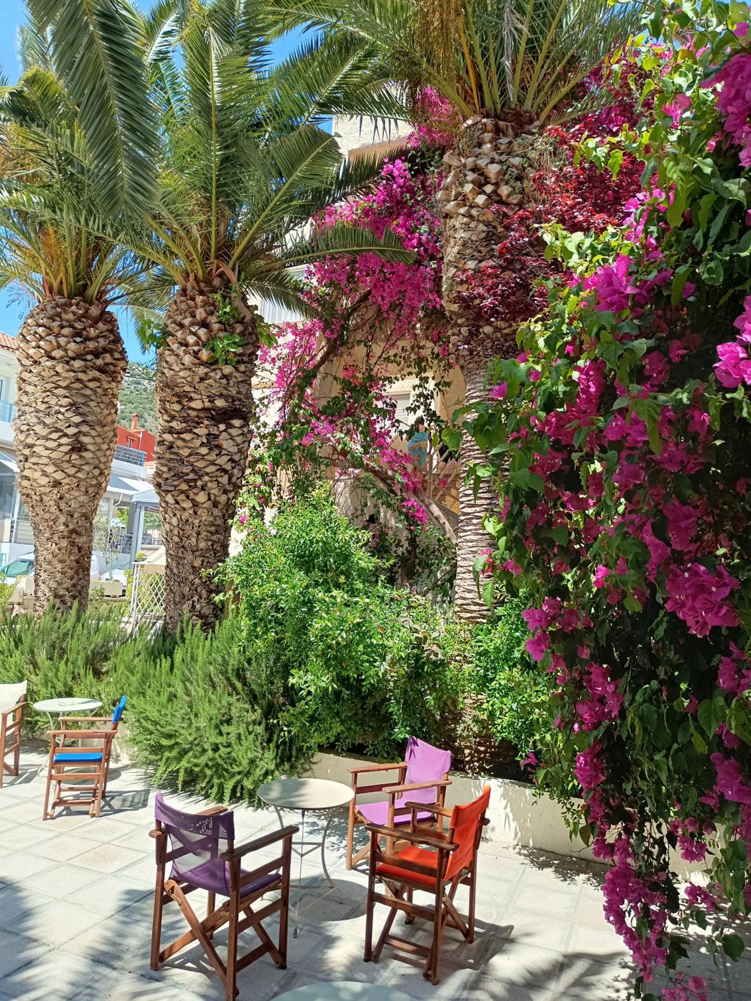 تولو Stella'S Apartments المظهر الخارجي الصورة